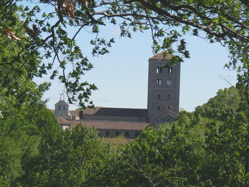 The Cloisters: The Cloisters 8